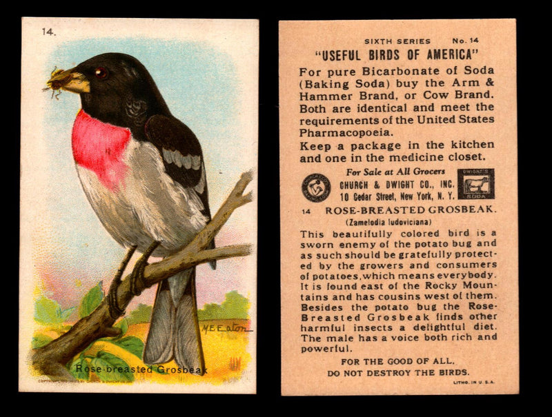 Birds - Useful Birds of America 6th Series You Pick Singles Church & Dwight J-9 #14 Rose-breasted Grosbeak  - TvMovieCards.com