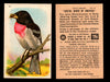 Birds - Useful Birds of America 6th Series You Pick Singles Church & Dwight J-9 #14 Rose-breasted Grosbeak  - TvMovieCards.com