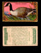 1910 Game Bird Series C14 Imperial Tobacco Vintage Trading Cards Singles #1-30 #14 Canada Goose  - TvMovieCards.com