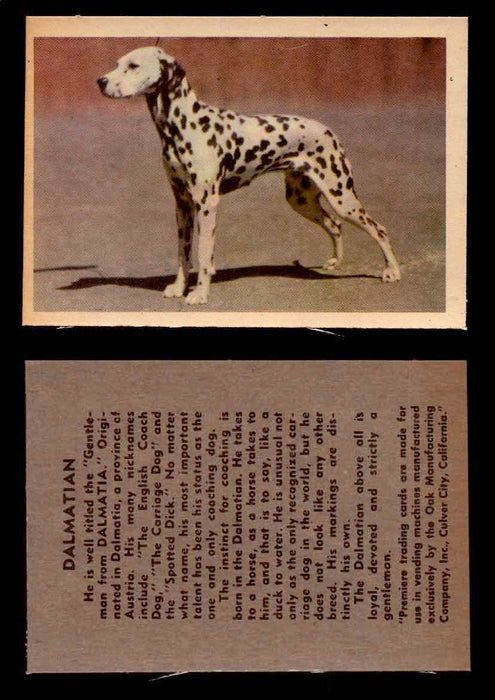 1957 Dogs Premiere Oak Man. R-724-4 Vintage Trading Cards You Pick Singles #1-42 #14 Dalmatian  - TvMovieCards.com