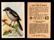 Birds - Useful Birds of America 7th Series You Pick Singles Church & Dwight J-9 #14 Loggerhead Shrike  - TvMovieCards.com