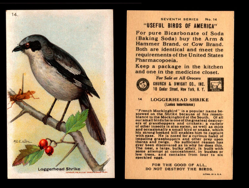 Birds - Useful Birds of America 7th Series You Pick Singles Church & Dwight J-9 #14 Loggerhead Shrike  - TvMovieCards.com