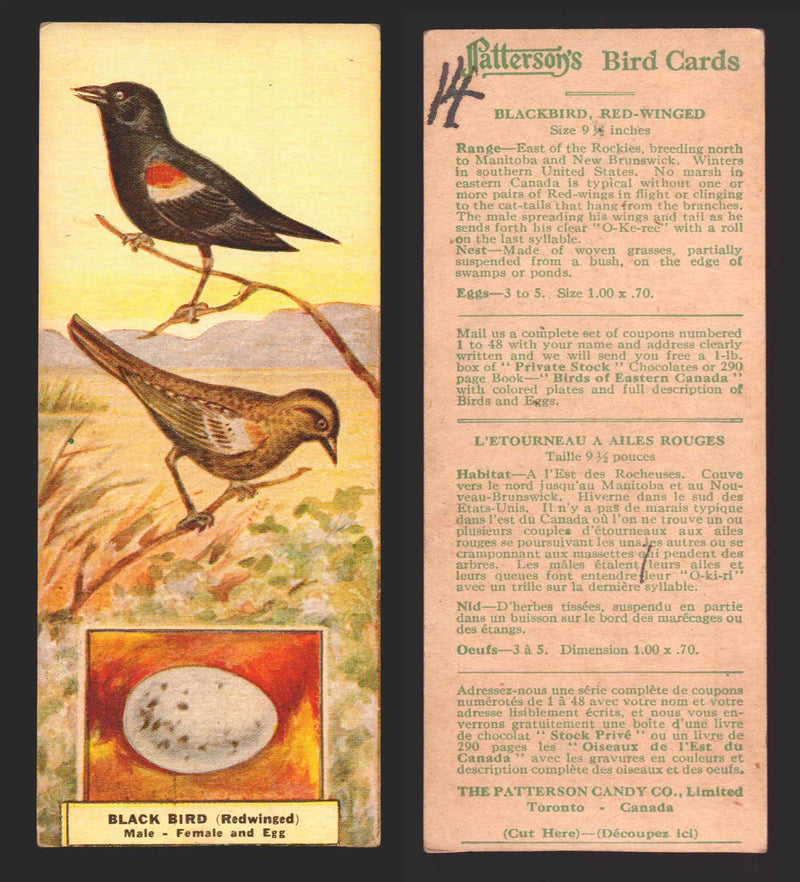 1924 Patterson's Bird Chocolate Vintage Trading Cards U Pick Singles #1-46 14 Blackbird - Red-Winged  - TvMovieCards.com