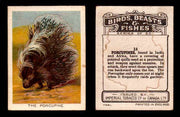 1923 Birds, Beasts, Fishes C1 Imperial Tobacco Vintage Trading Cards Singles #14 The Porcupine  - TvMovieCards.com