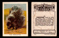 1923 Birds, Beasts, Fishes C1 Imperial Tobacco Vintage Trading Cards Singles #14 The Porcupine  - TvMovieCards.com