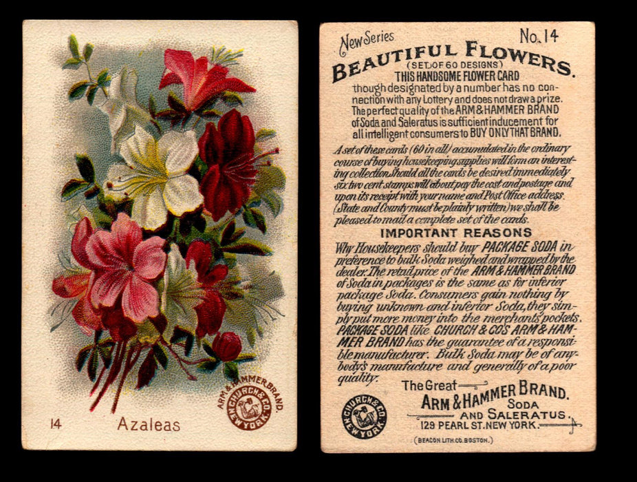 Beautiful Flowers New Series You Pick Singles Card #1-#60 Arm & Hammer 1888 J16 #14 Azaleas  - TvMovieCards.com