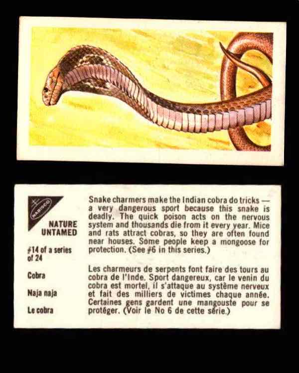 Nature Untamed Nabisco Vintage Trading Cards You Pick Singles #1-24 #14 Cobra  - TvMovieCards.com