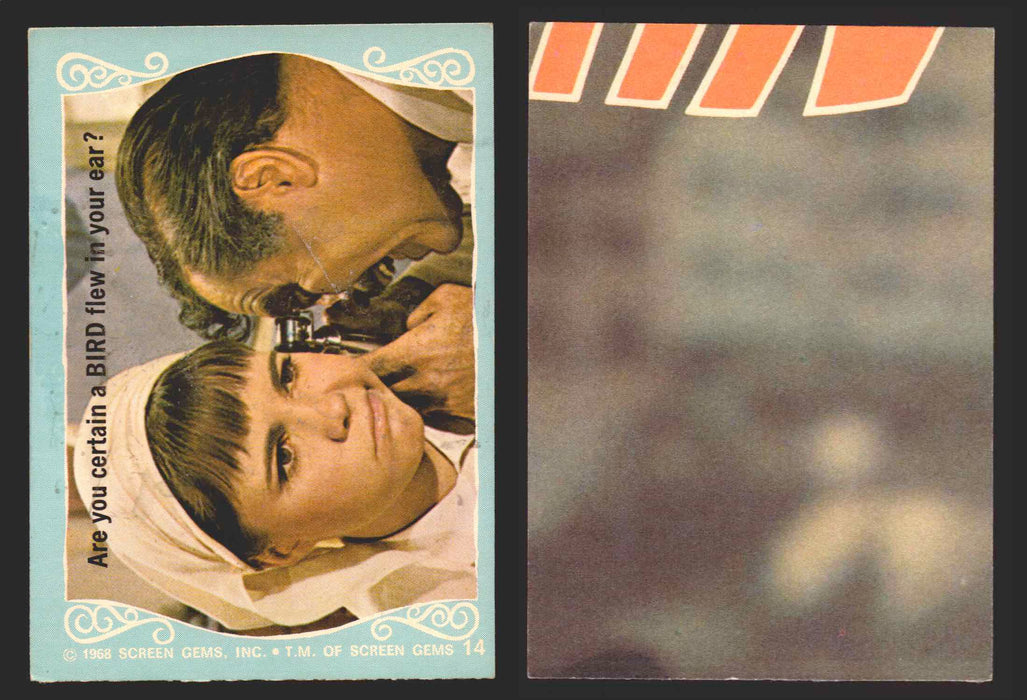 The Flying Nun Vintage Trading Card You Pick Singles #1-#66 Sally Field Donruss 14   Are you certain a BIRD flew in your ear?  - TvMovieCards.com