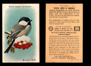 Birds - Useful Birds of America 10th Series You Pick Singles Church & Dwight J-9 #14 Black-capped Chickadee  - TvMovieCards.com