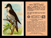 Birds - Useful Birds of America 5th Series You Pick Singles Church & Dwight J-9 #14 Flycatcher (Kingbird)  - TvMovieCards.com