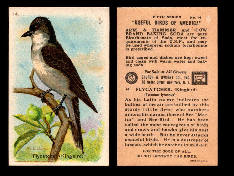 Birds - Useful Birds of America 5th Series You Pick Singles Church & Dwight J-9 #14 Flycatcher (Kingbird)  - TvMovieCards.com