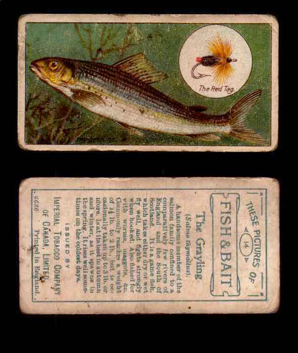 1910 Fish and Bait Imperial Tobacco Vintage Trading Cards You Pick Singles #1-50 #14 The Grayling  - TvMovieCards.com