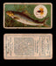 1910 Fish and Bait Imperial Tobacco Vintage Trading Cards You Pick Singles #1-50 #14 The Grayling  - TvMovieCards.com