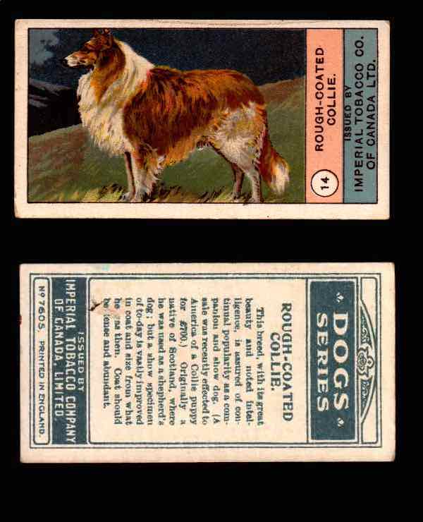 1924 Dogs Series Imperial Tobacco Vintage Trading Cards U Pick Singles #1-24 #14 Rough-Coated Collie  - TvMovieCards.com