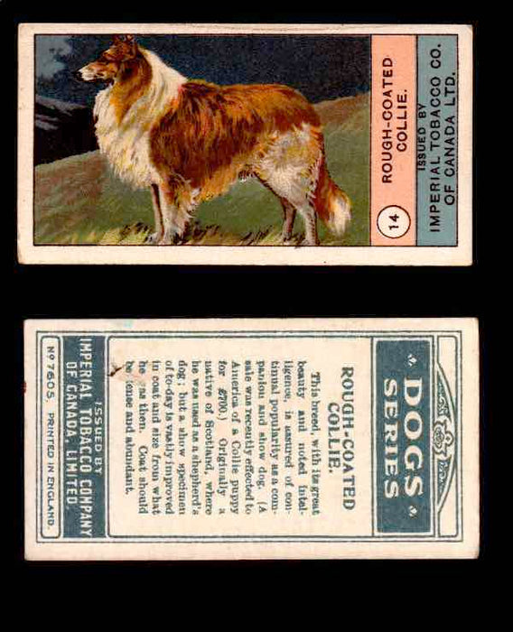 1924 Dogs Series Imperial Tobacco Vintage Trading Cards U Pick Singles #1-24 #14 Rough-Coated Collie  - TvMovieCards.com