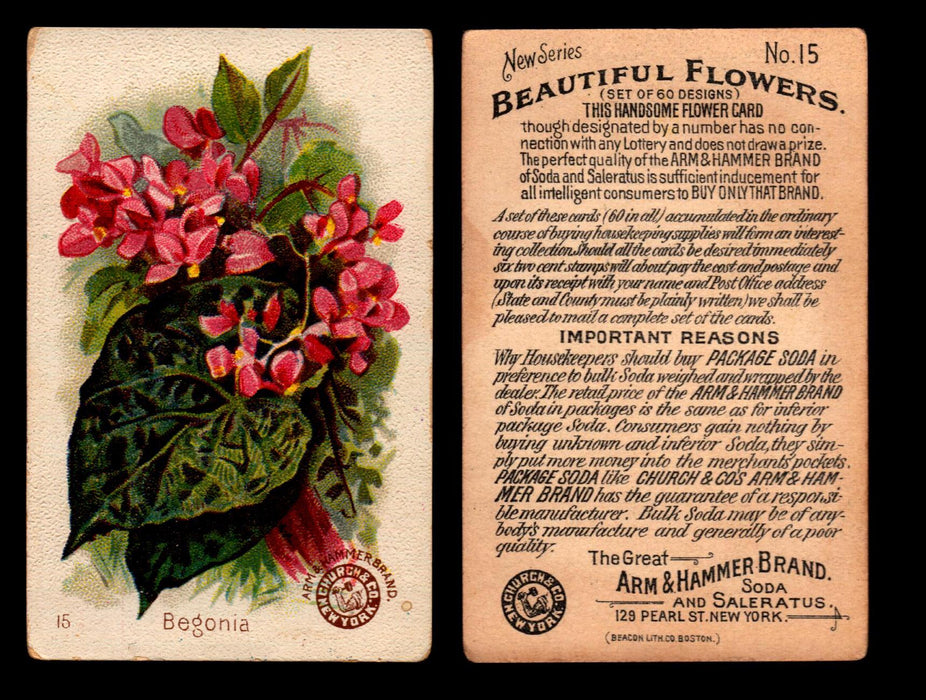 Beautiful Flowers New Series You Pick Singles Card #1-#60 Arm & Hammer 1888 J16 #15 Begonia  - TvMovieCards.com