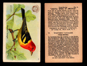 Birds - Useful Birds of America 3rd Series You Pick Singles Church & Dwight J-7 #15 Western Tanager  - TvMovieCards.com