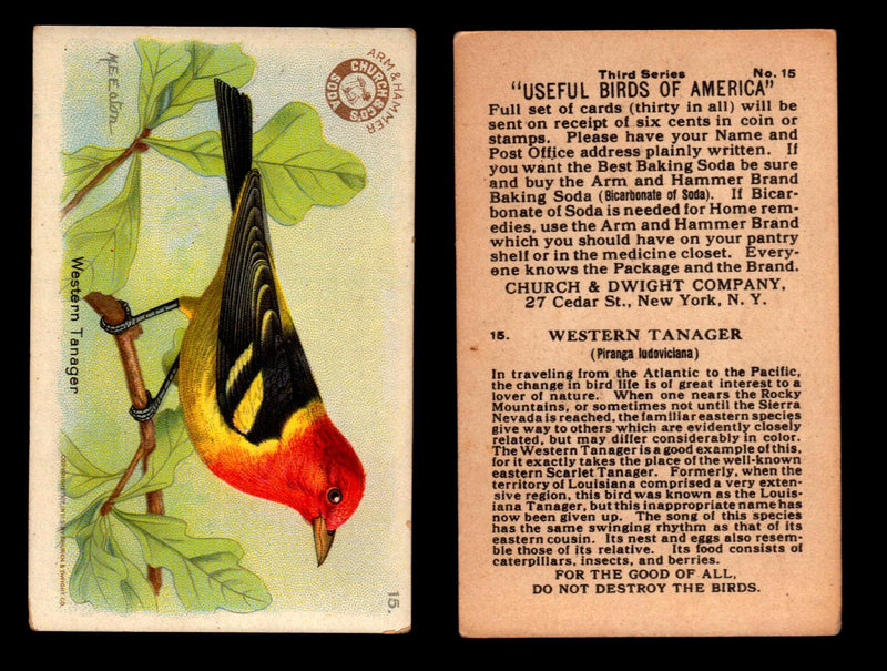 Birds - Useful Birds of America 3rd Series You Pick Singles Church & Dwight J-7 #15 Western Tanager  - TvMovieCards.com