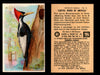Birds - Useful Birds of America 7th Series You Pick Singles Church & Dwight J-9 #15 Ivory-billed Woodpecker  - TvMovieCards.com