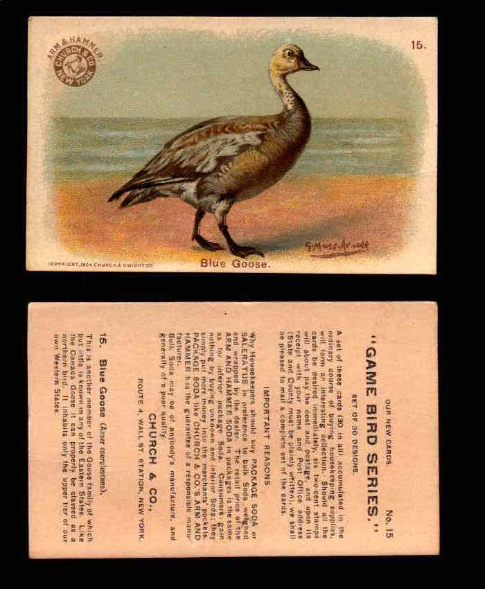 1904 Arm & Hammer Game Bird Series Vintage Trading Cards Singles #1-30 #15 Blue Goose  - TvMovieCards.com