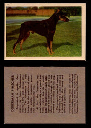 1957 Dogs Premiere Oak Man. R-724-4 Vintage Trading Cards You Pick Singles #1-42 #15 Doberman Pinscher  - TvMovieCards.com