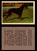 1957 Dogs Premiere Oak Man. R-724-4 Vintage Trading Cards You Pick Singles #1-42 #15 Doberman Pinscher  - TvMovieCards.com
