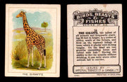 1923 Birds, Beasts, Fishes C1 Imperial Tobacco Vintage Trading Cards Singles #15 The Giraffe  - TvMovieCards.com
