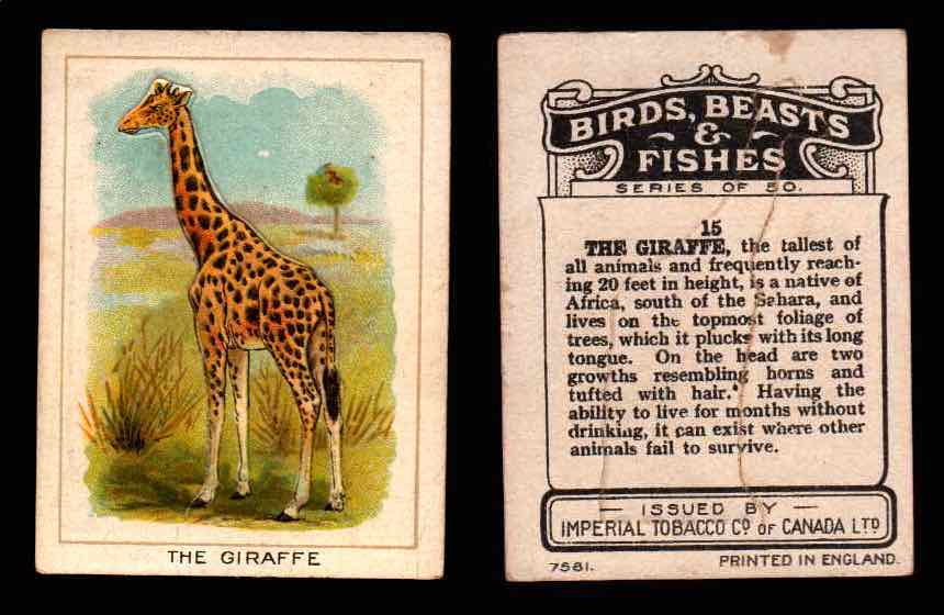1923 Birds, Beasts, Fishes C1 Imperial Tobacco Vintage Trading Cards Singles #15 The Giraffe  - TvMovieCards.com