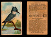 Birds - Useful Birds of America 8th Series You Pick Singles Church & Dwight J-9 #15 Belted Kingfisher  - TvMovieCards.com