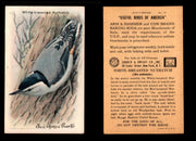 Birds - Useful Birds of America 9th Series You Pick Singles Church & Dwight J-9 #15 White-breasted Nuthatch  - TvMovieCards.com
