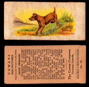1929 V13 Cowans Dog Pictures Vintage Trading Cards You Pick Singles #1-24 #15 Irish Terrier  - TvMovieCards.com