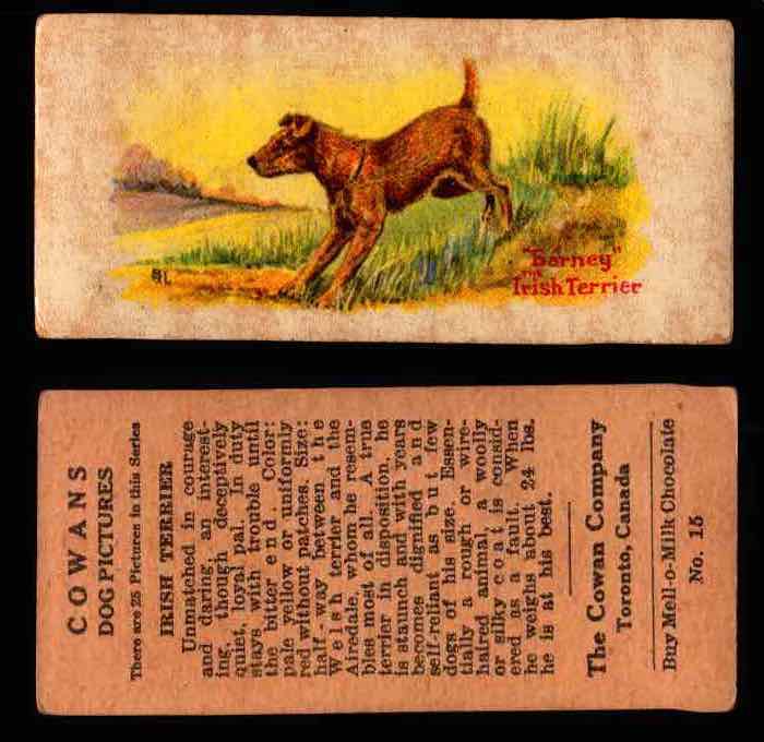 1929 V13 Cowans Dog Pictures Vintage Trading Cards You Pick Singles #1-24 #15 Irish Terrier  - TvMovieCards.com