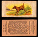 1929 V13 Cowans Dog Pictures Vintage Trading Cards You Pick Singles #1-24 #15 Irish Terrier  - TvMovieCards.com