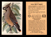 Birds - Useful Birds of America 10th Series You Pick Singles Church & Dwight J-9 #15 Cedar Waxwing  - TvMovieCards.com