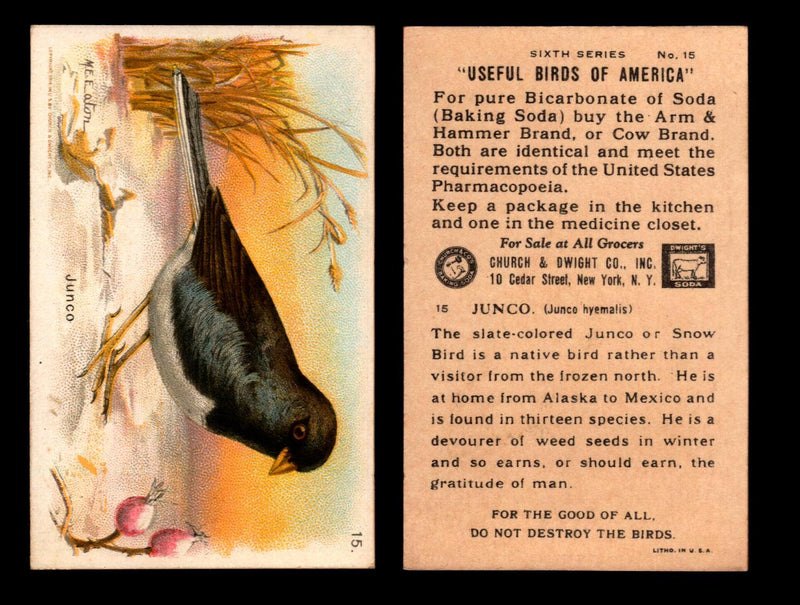Birds - Useful Birds of America 6th Series You Pick Singles Church & Dwight J-9 #15 Junco  - TvMovieCards.com