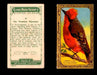 1910 Game Bird Series C14 Imperial Tobacco Vintage Trading Cards Singles #1-30 #15 The Vermilion Flycatcher  - TvMovieCards.com