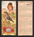 1924 Patterson's Bird Chocolate Vintage Trading Cards U Pick Singles #1-46 15 Bluebird  - TvMovieCards.com