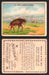 1910 T73 Hassan Cigarettes Indian Life In The 60's Tobacco Trading Cards Singles #15 Elk Hunting Disguised as Buffalo  - TvMovieCards.com