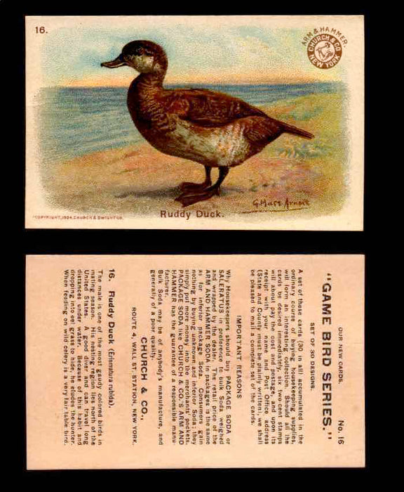 1904 Arm & Hammer Game Bird Series Vintage Trading Cards Singles #1-30 #16 Ruddy Duck  - TvMovieCards.com