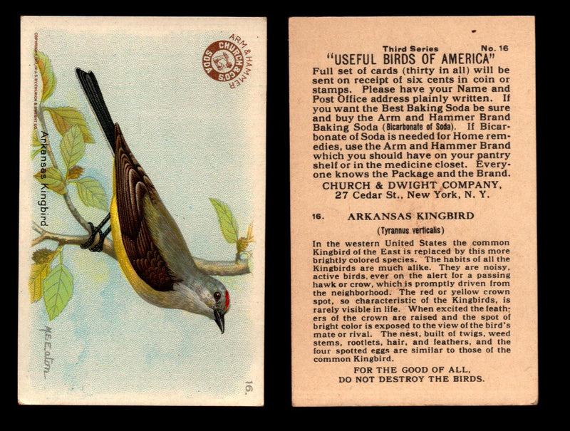 Birds - Useful Birds of America 3rd Series You Pick Singles Church & Dwight J-7 #16 Arkansas Kingbird  - TvMovieCards.com