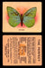 1925 Harry Horne Butterflies FC2 Vintage Trading Cards You Pick Singles #1-50 #16  - TvMovieCards.com