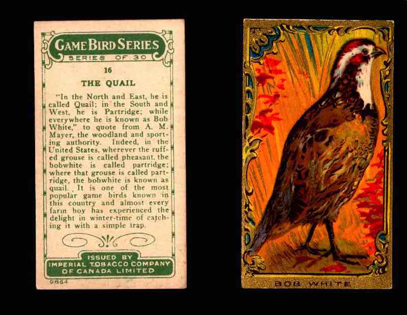 1910 Game Bird Series C14 Imperial Tobacco Vintage Trading Cards Singles #1-30 #16 The Quail  - TvMovieCards.com