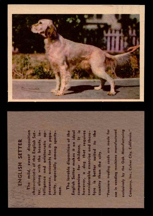1957 Dogs Premiere Oak Man. R-724-4 Vintage Trading Cards You Pick Singles #1-42 #16 English Setter  - TvMovieCards.com