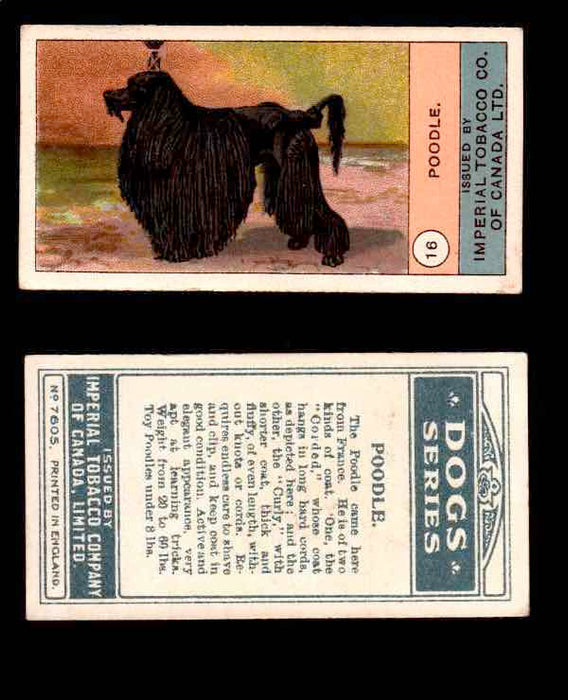 1924 Dogs Series Imperial Tobacco Vintage Trading Cards U Pick Singles #1-24 #16 Poodle  - TvMovieCards.com
