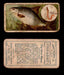 1910 Fish and Bait Imperial Tobacco Vintage Trading Cards You Pick Singles #1-50 #16 The Silver Bream  - TvMovieCards.com