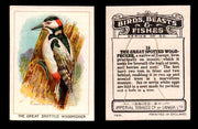 1923 Birds, Beasts, Fishes C1 Imperial Tobacco Vintage Trading Cards Singles #16 The Great Spotted Woodpecker  - TvMovieCards.com