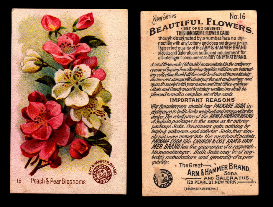Beautiful Flowers New Series You Pick Singles Card #1-#60 Arm & Hammer 1888 J16 #16 Peach & Pear Blossoms  - TvMovieCards.com