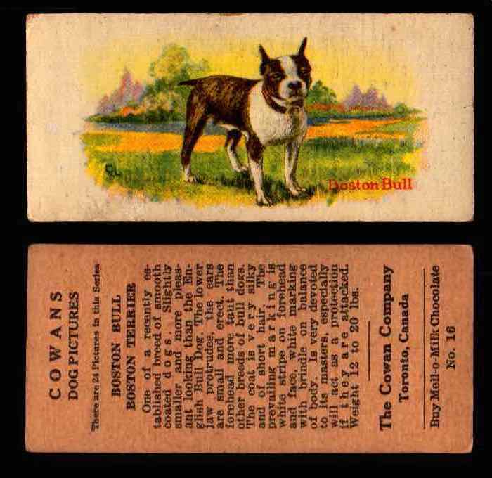 1929 V13 Cowans Dog Pictures Vintage Trading Cards You Pick Singles #1-24 #16 Boston Terrier  - TvMovieCards.com