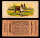 1929 V13 Cowans Dog Pictures Vintage Trading Cards You Pick Singles #1-24 #16 Boston Terrier  - TvMovieCards.com