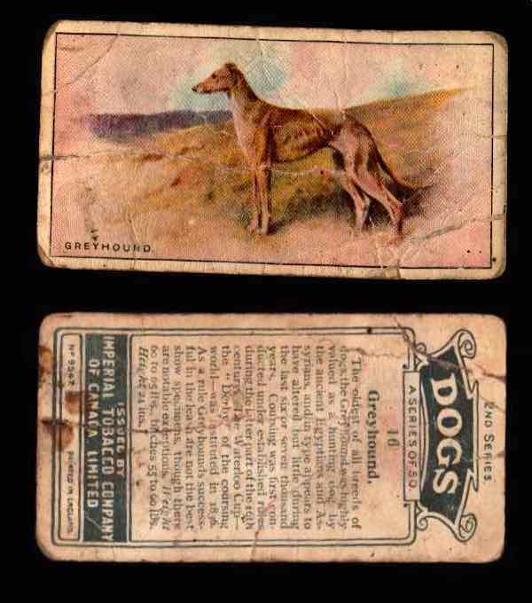 1925 Dogs 2nd Series Imperial Tobacco Vintage Trading Cards U Pick Singles #1-50 #16 Greyhound  - TvMovieCards.com